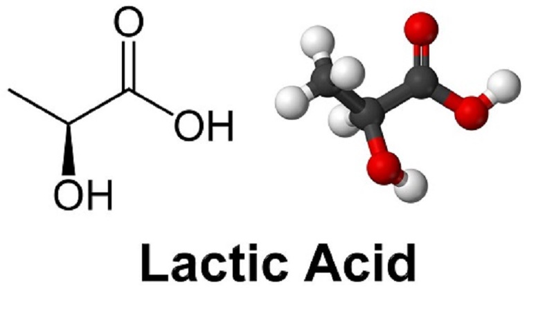 Axit Lactic là gì?